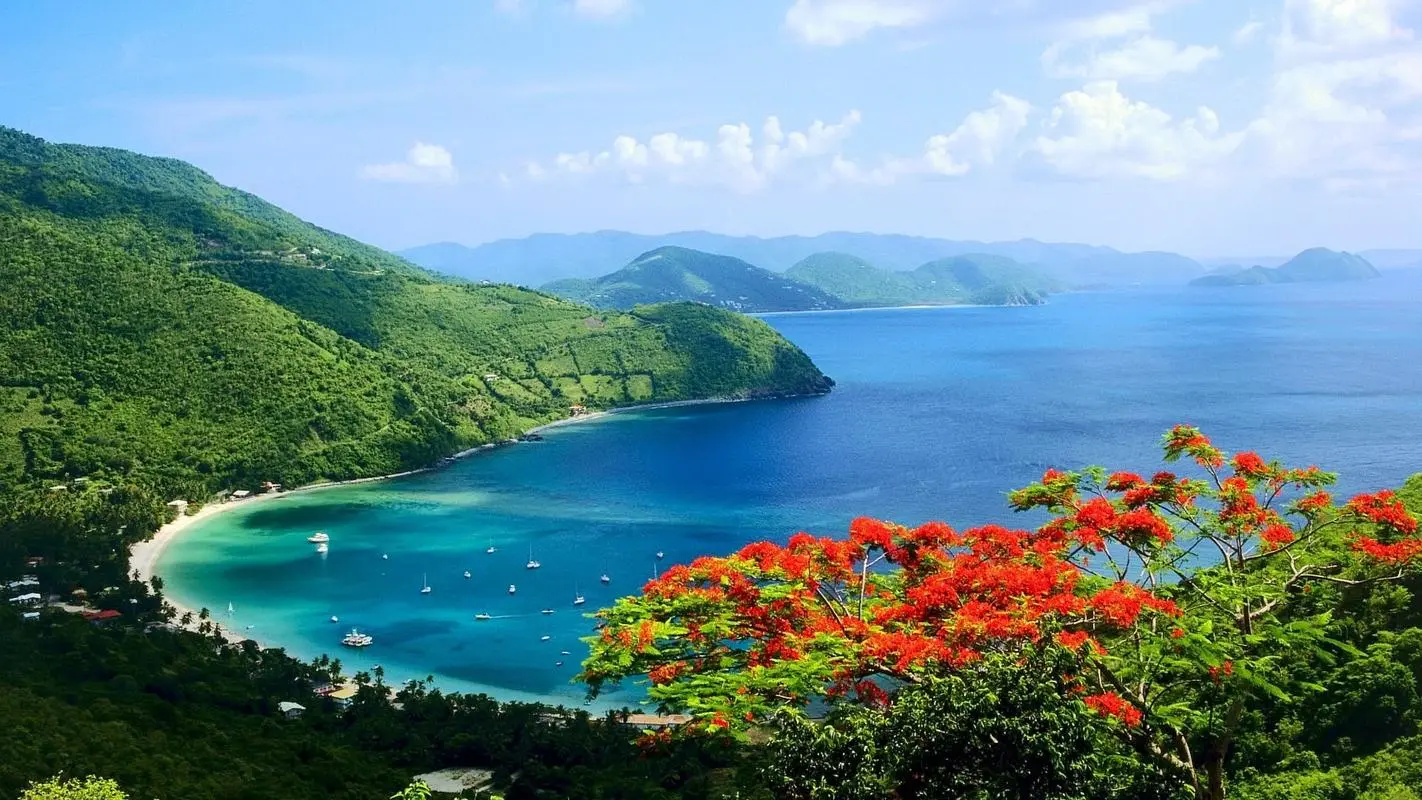 高端科技高效